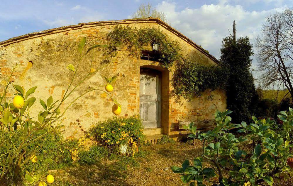 Bassetto Guesthouse & Apartments تْشيرتالدو المظهر الخارجي الصورة